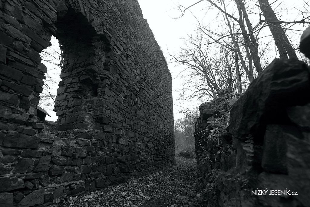 Viktejn, vnj zdi pvodnho hradu.